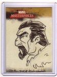 Marvel Masterpieces Set 2 by Rich Woodall